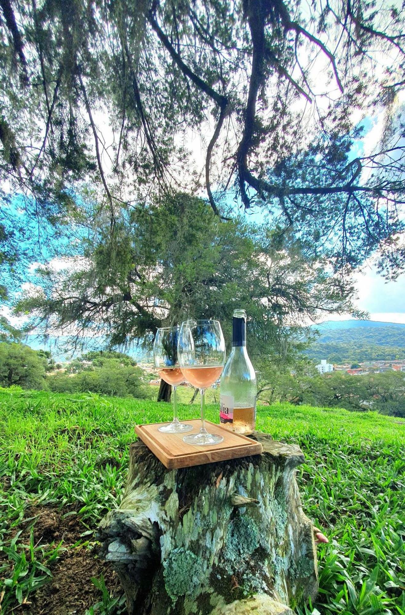 Cabana Canto Lindo - Urubici-Sc Bagian luar foto